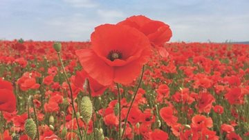 Cramlington care home remembers fallen heroes on Remembrance Day